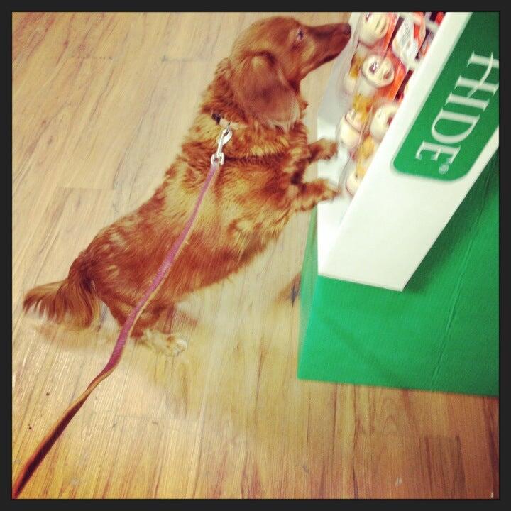 Pets Plus - Lawrenceville