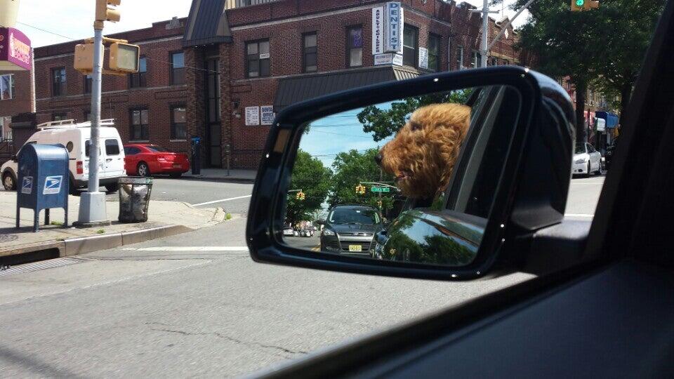 Vlada's Pet Grooming & Boarding