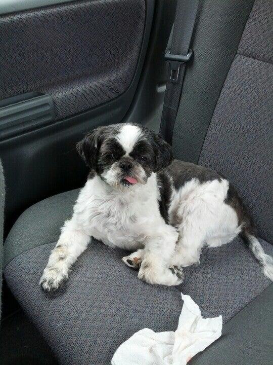 Value Vet Urbandale, IA Nextdoor