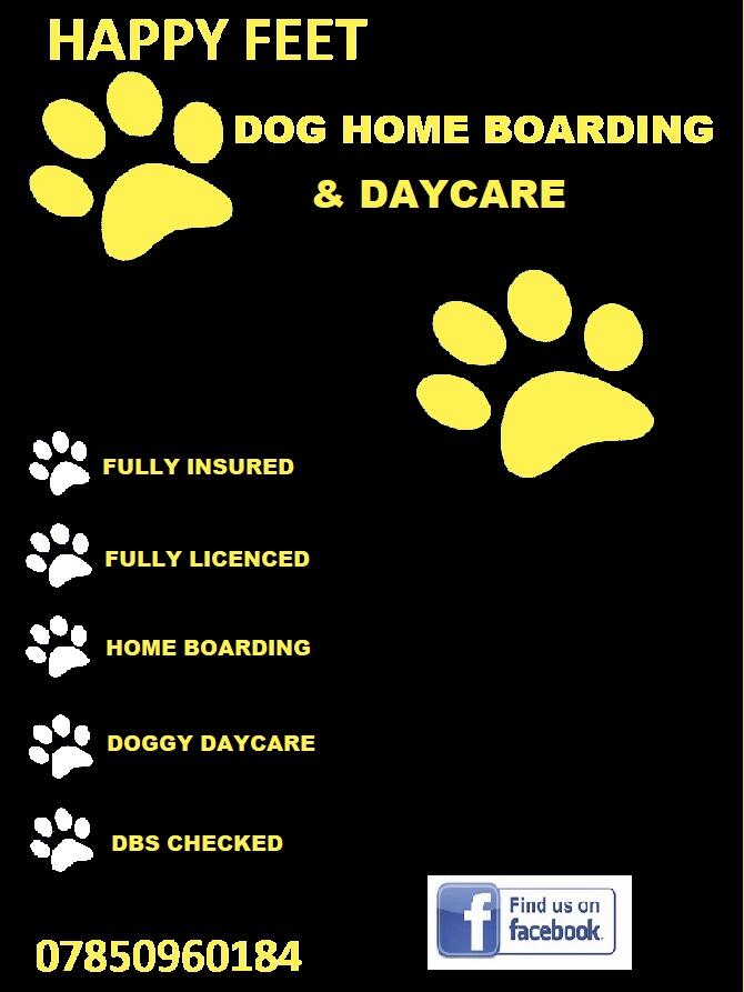 Happy feet home boarding Sheffield Nextdoor