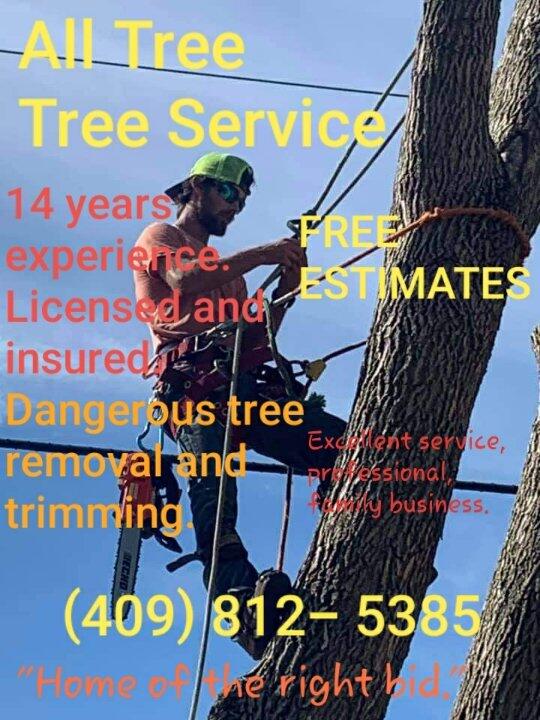 ALL TREE TREE SERVICE Beaumont TX Nextdoor