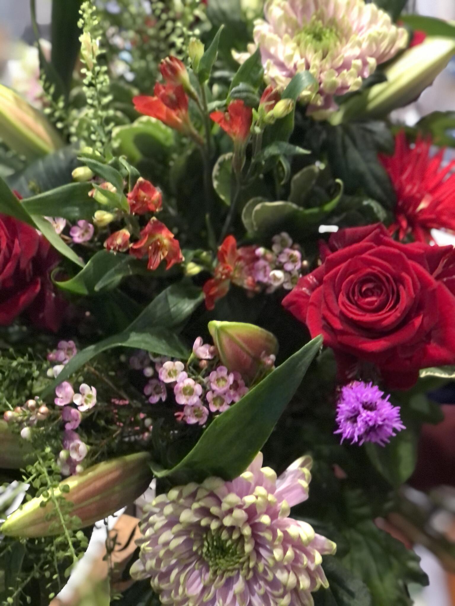 27 Alloway Ayr, Scotland Nextdoor