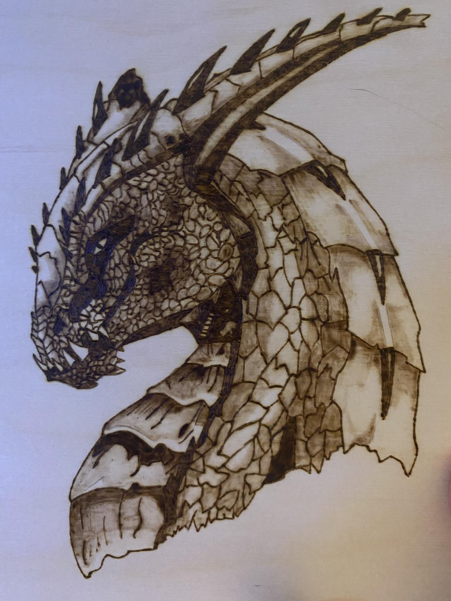 Estryx wood burning Uttoxeter, GBENG Nextdoor