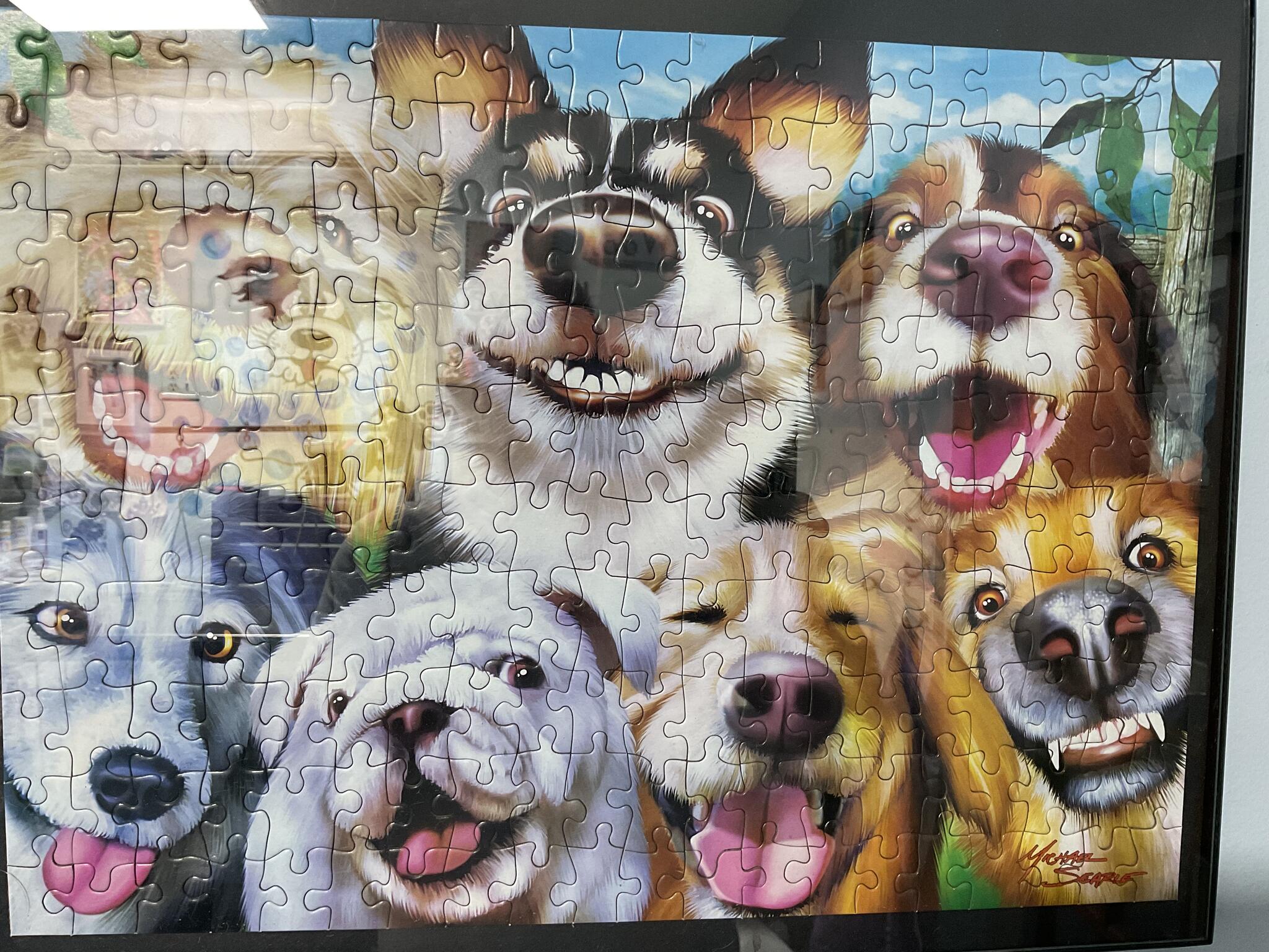 Woof & Wagz Dog Grooming Bluffton, SC Nextdoor