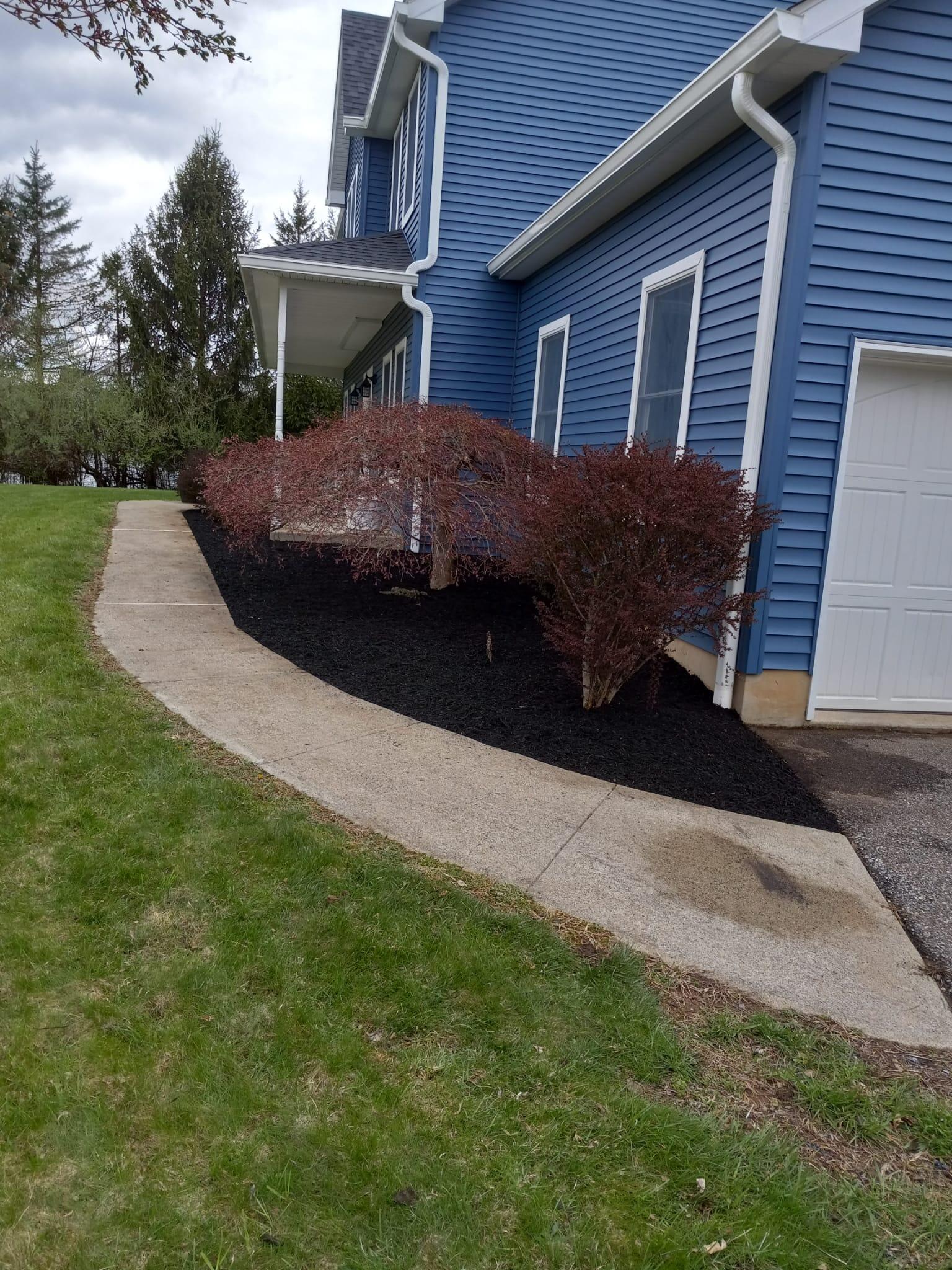 selvin landscaping