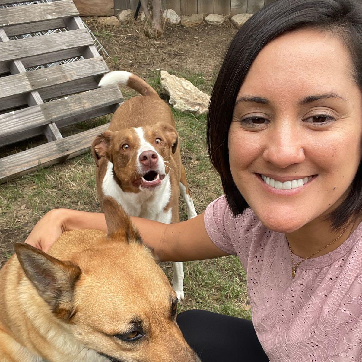 Lauren s Dog Sitting Nextdoor lauren-s-dog-sitting-nextdoor