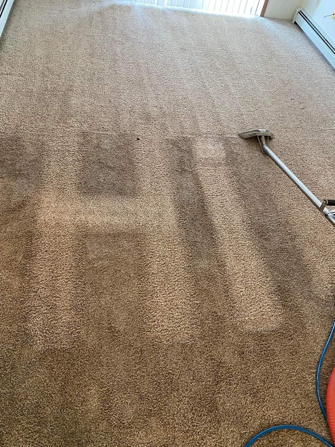 Fremont Carpet Cleaning Ne Nextdoor