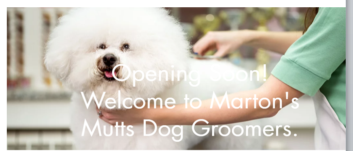 Mutts store dog grooming