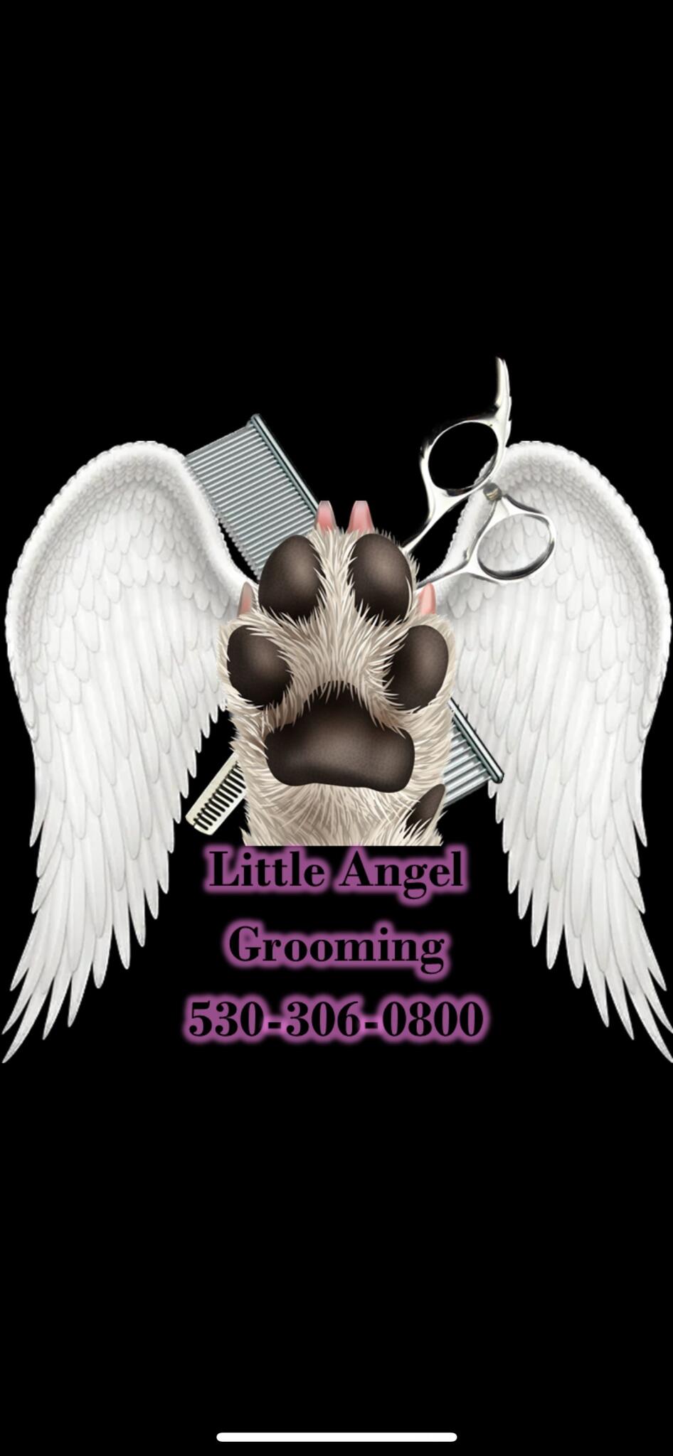 Little Angel Grooming - Diamond Springs, CA - Nextdoor