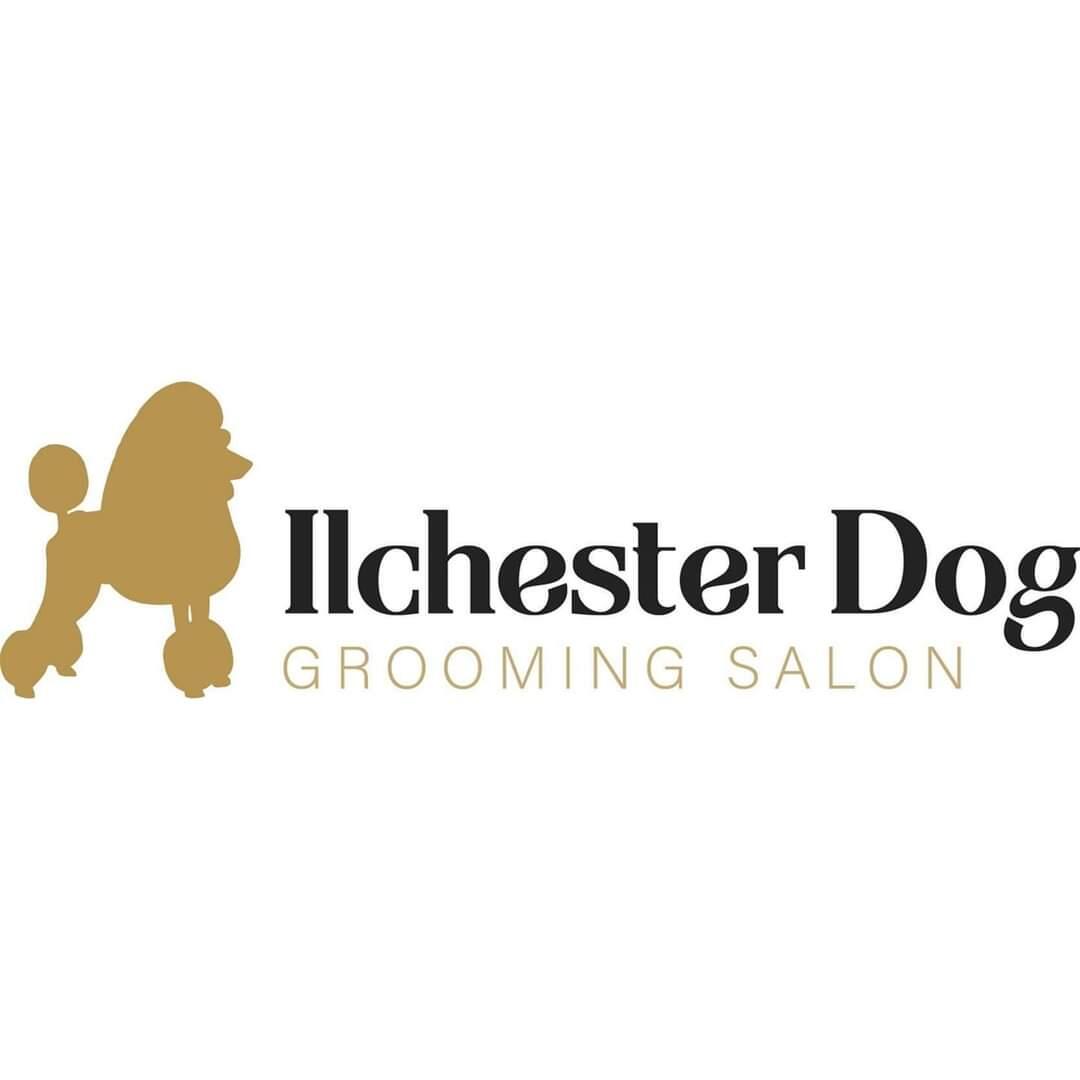 Ilchester Dog Grooming Yeovil Nextdoor