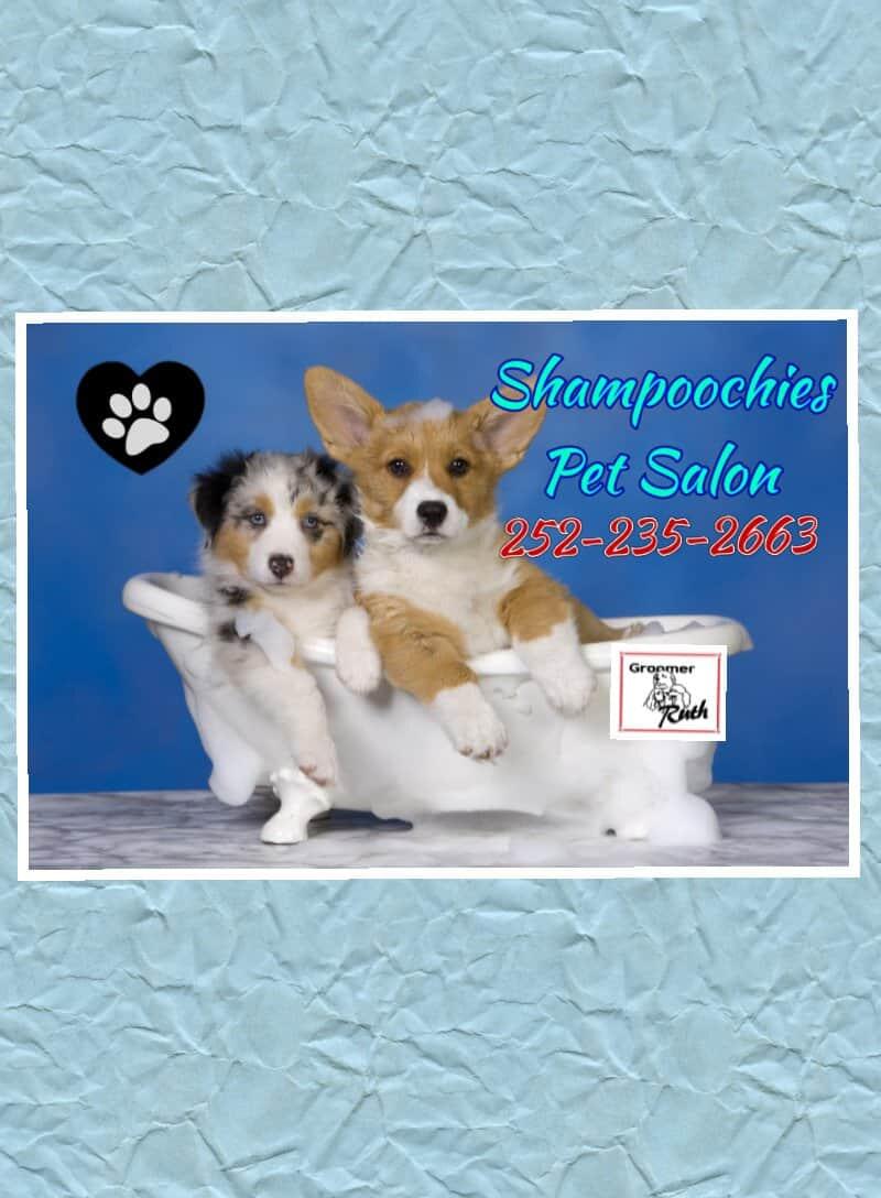 Bailey, NC News, Crime, Lost Pets, Free Stuff