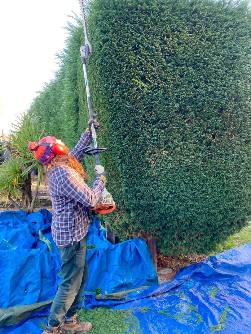 Sunrise Gardens and Nurseries Hastings, GBENG Nextdoor