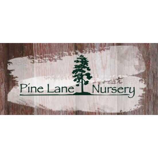 Pine Lane Nursery Parker, CO Nextdoor