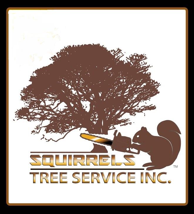 Squirrels Tree Service Zion, IL Nextdoor