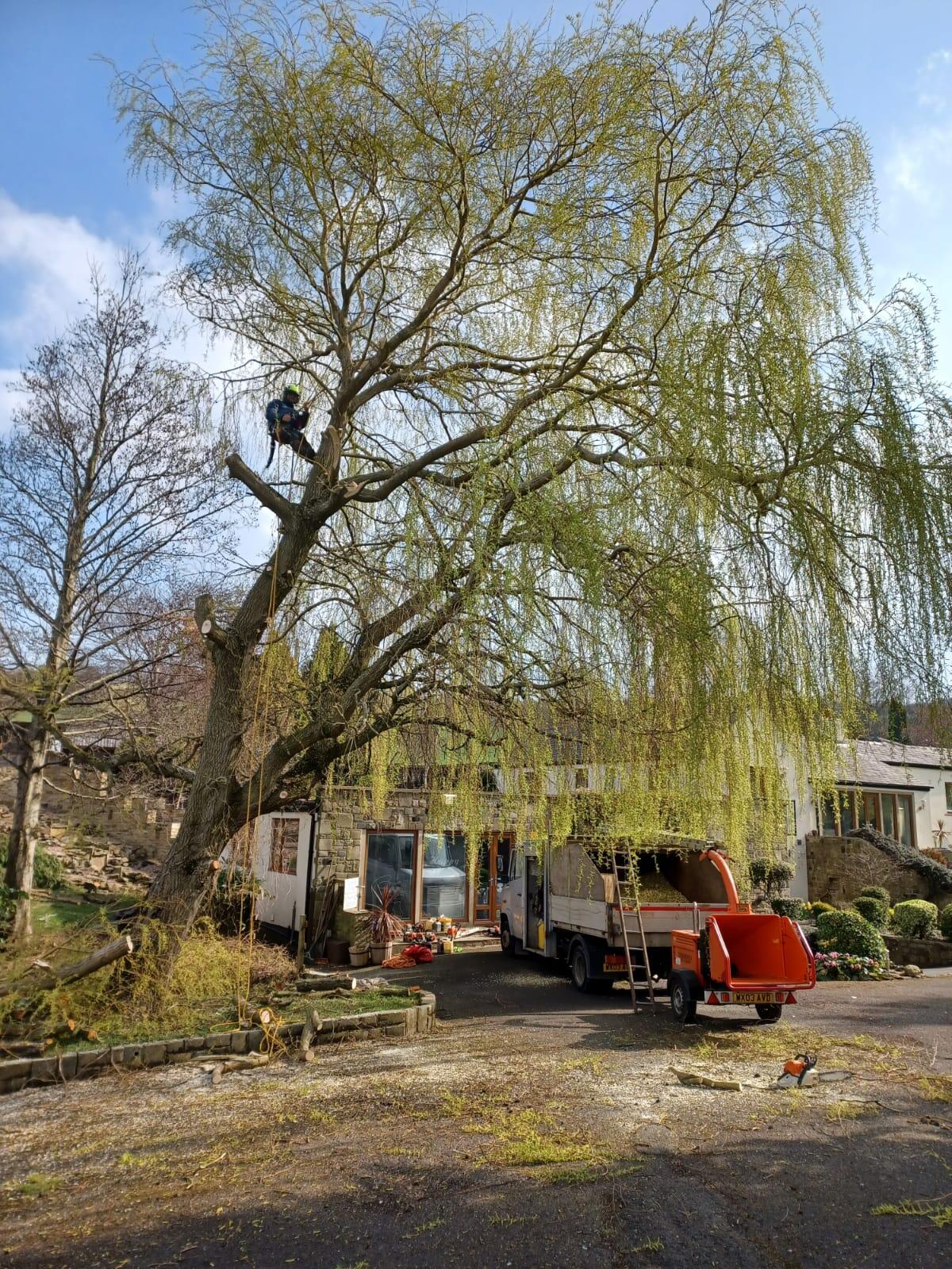 Northern Tree Care Ltd. Bingley Nextdoor