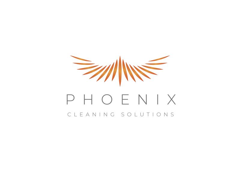Phoenix Cleaning Solutions - Wake Forest, NC - Nextdoor