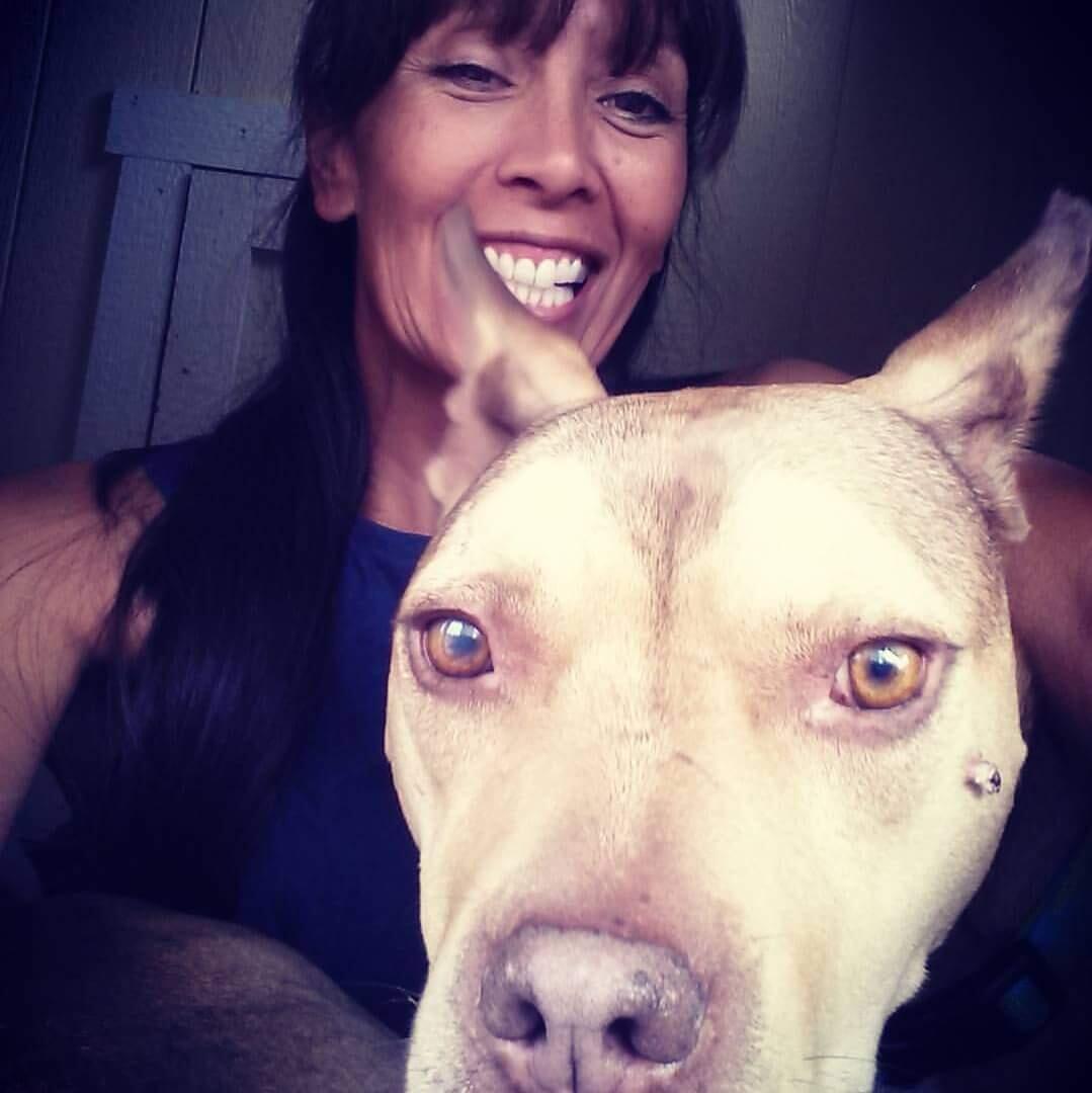 Bouquet Canyon Kennels Santa Clarita, CA Nextdoor