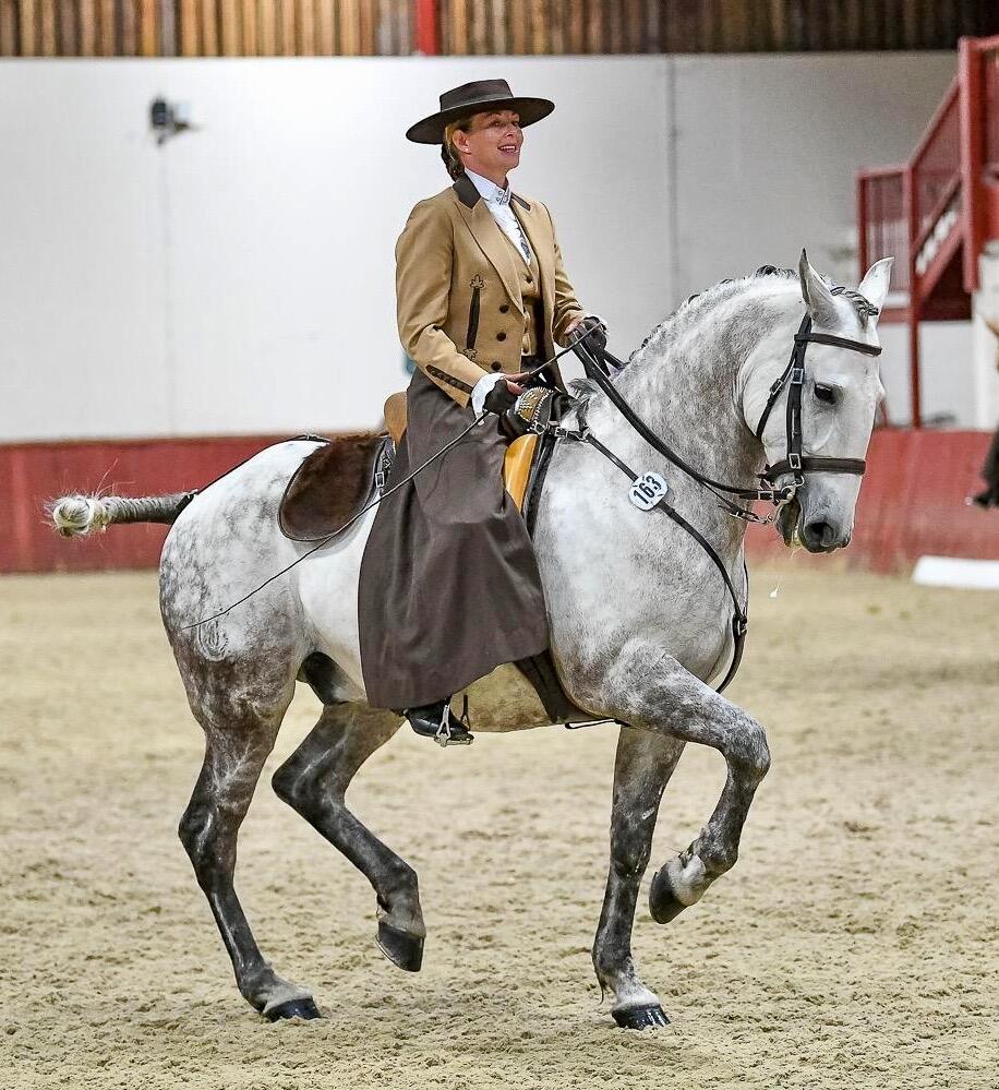 Pine Lodge School Of Classical Equitation - Norwich, England - Nextdoor