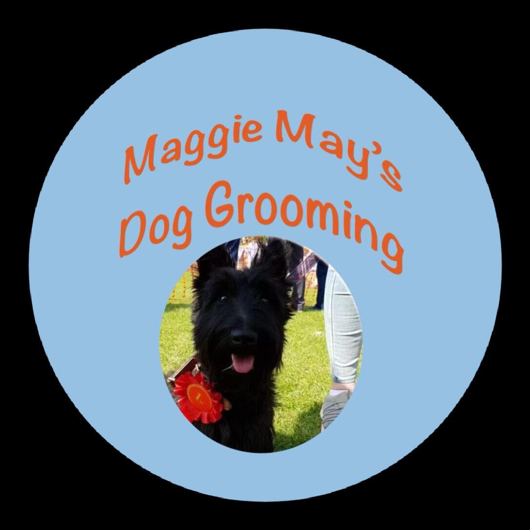 Maggie May's Dog Grooming Cranbrook, GBENG Nextdoor