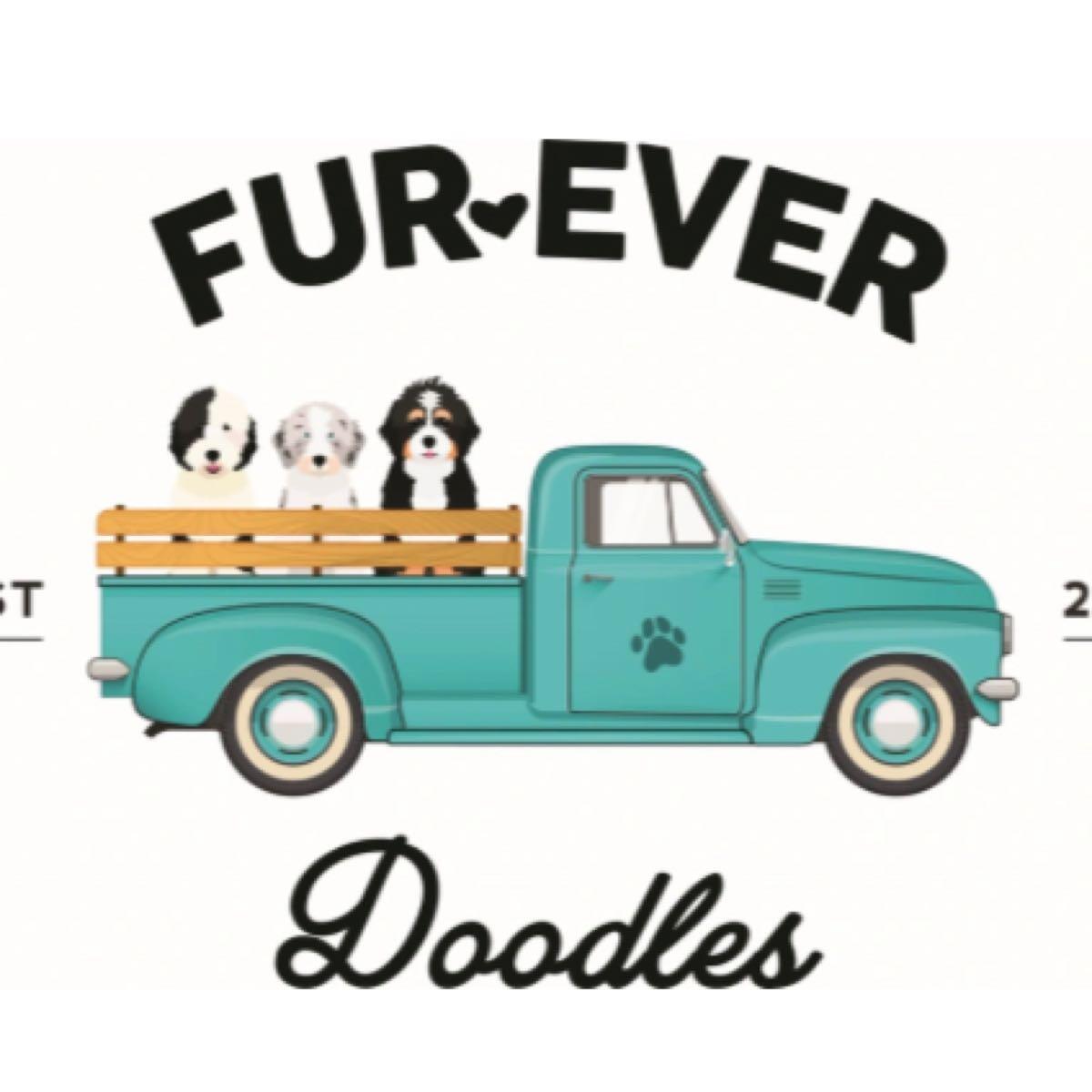 Fur-Ever Doodles - Buffalo, MN - Nextdoor