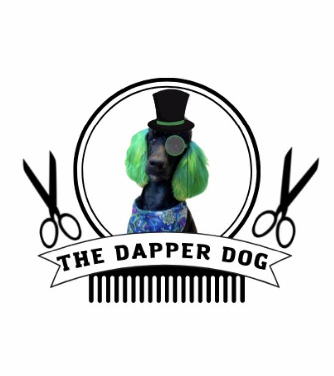 The dapper hot sale dog salon