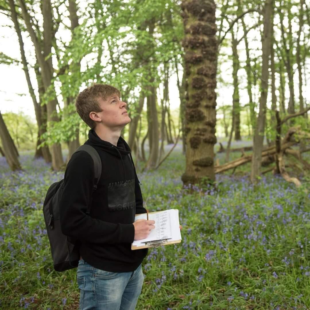 Glasgow Trees and Gardens Glasgow Nextdoor