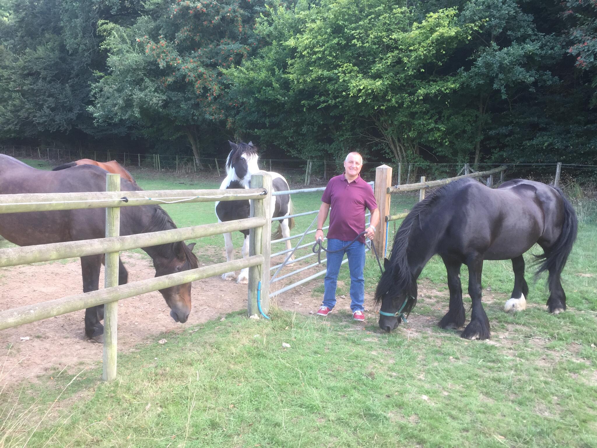 Garden Maintenance Hayes Nextdoor