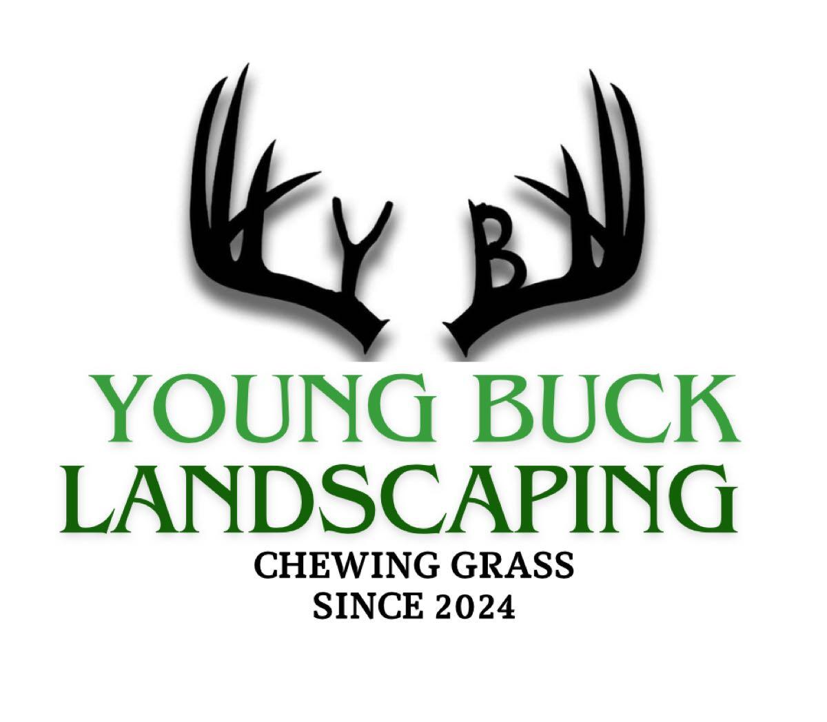 Young buck landscaping Nextdoor