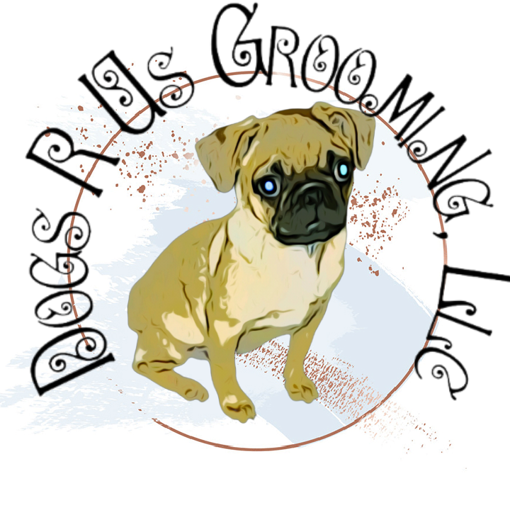 Dogs r hot sale us grooming