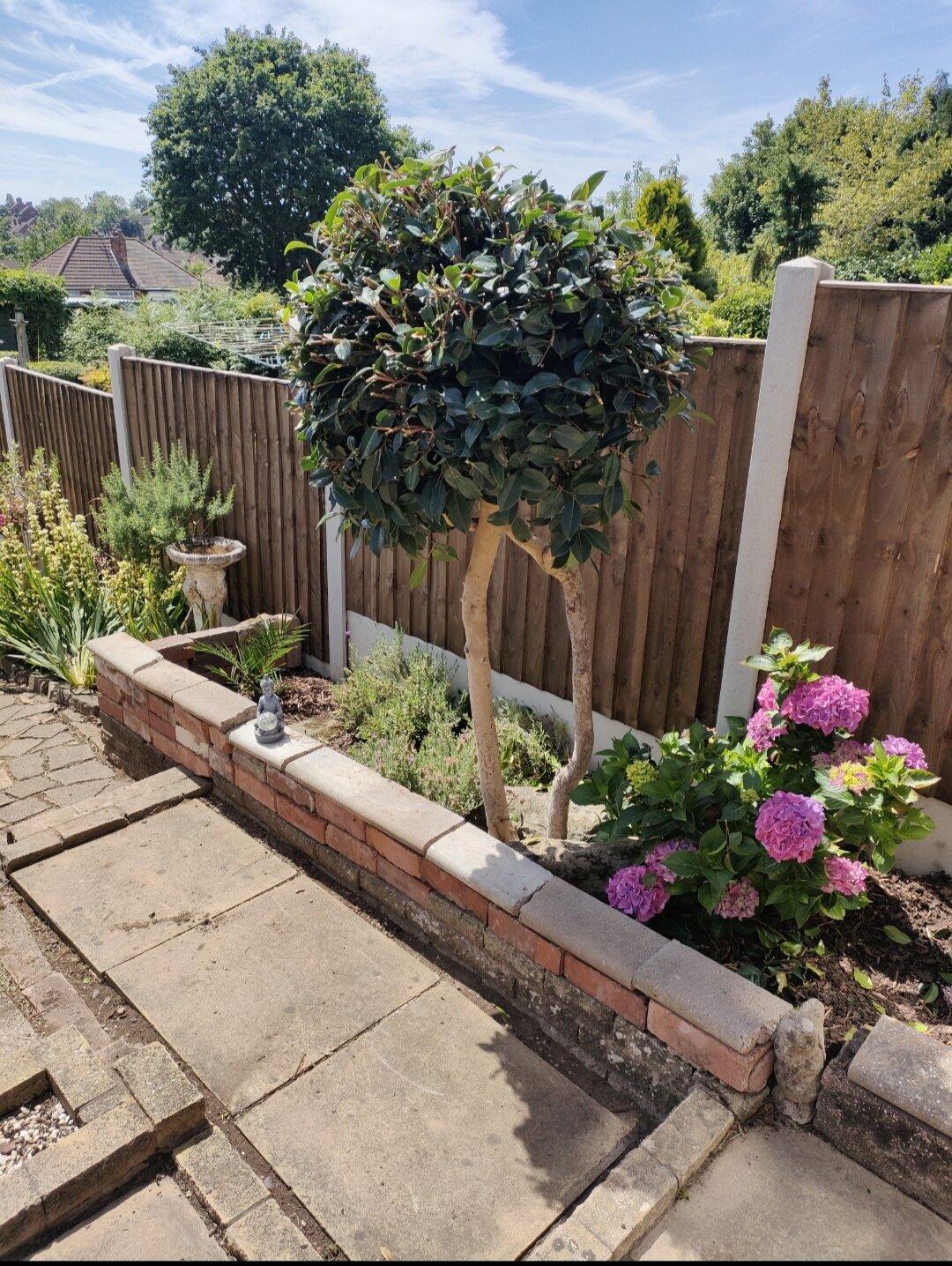 Martin Winstone Garden Maintenance Birmingham, GBENG Nextdoor