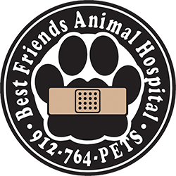 Best Friends Animal Hospital - Statesboro, GA - Nextdoor