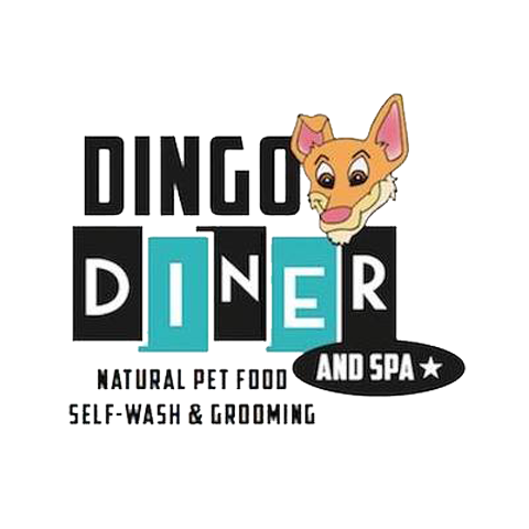 dingos natural pet food