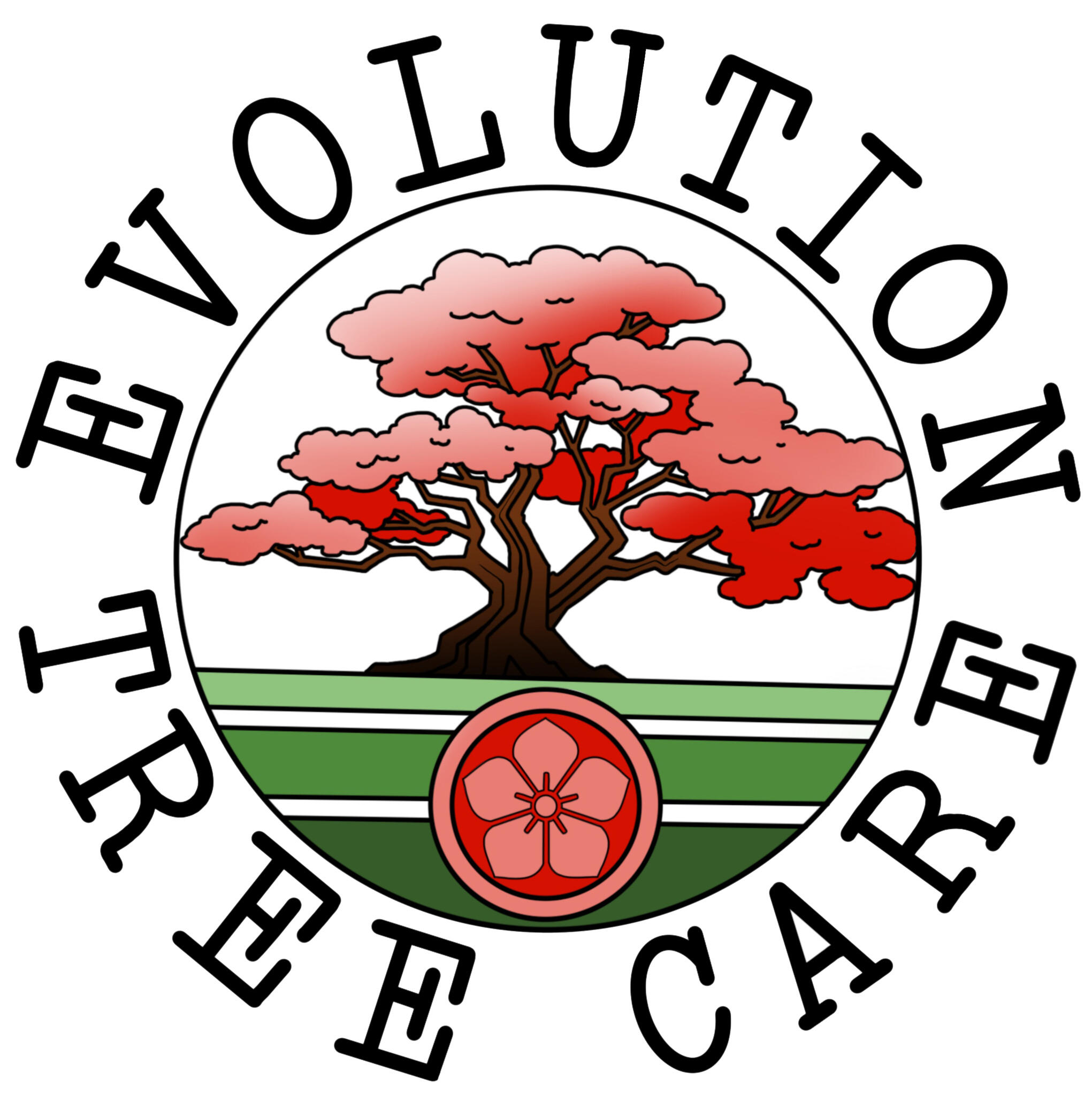 Evolution Tree Care Ltd WestcliffOnSea Nextdoor