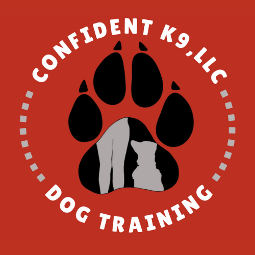 Confident k9 dog store training