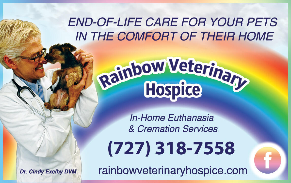Rainbow veterinary cheap