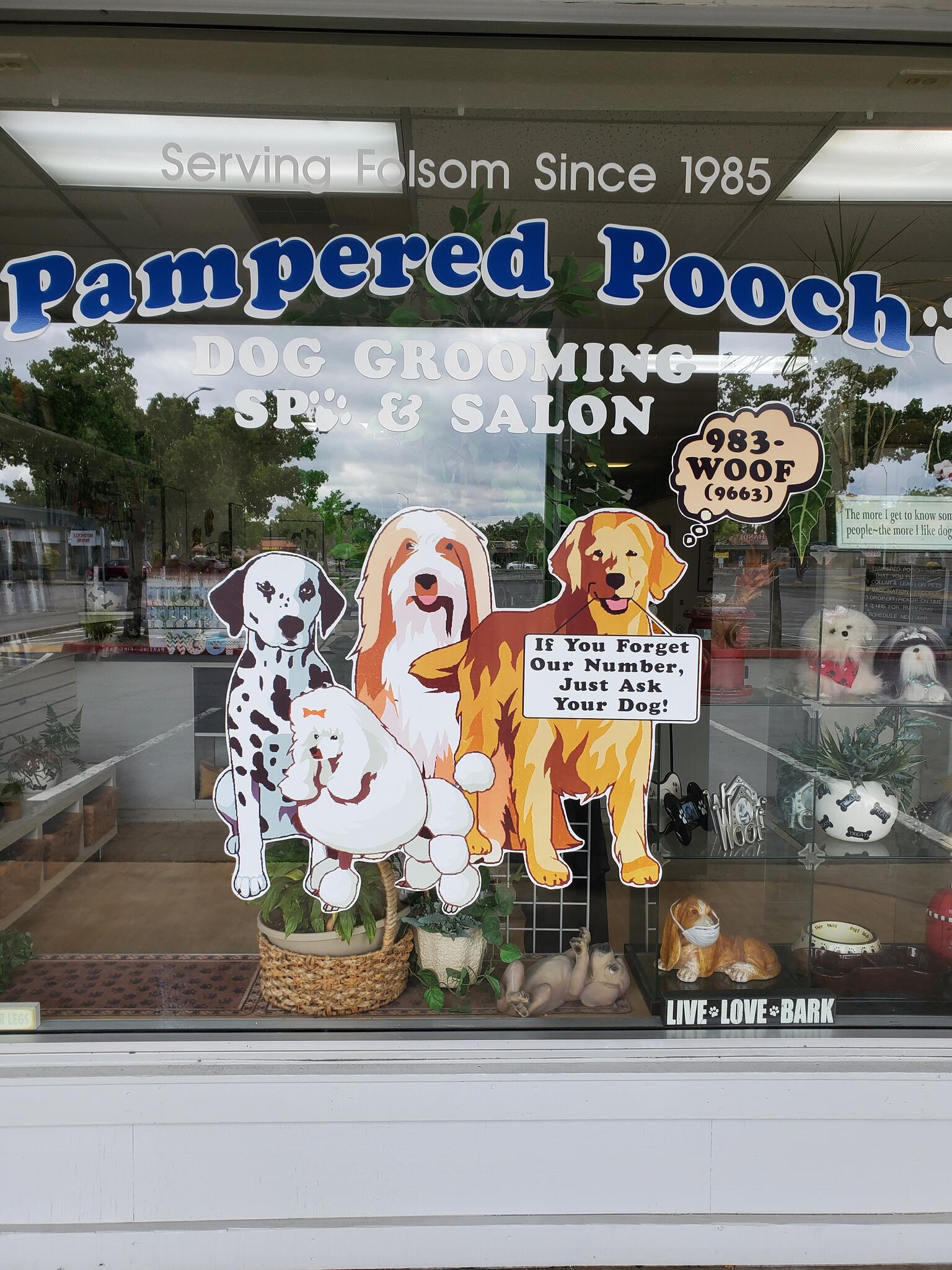 Pampered pooch 2024 pet salon