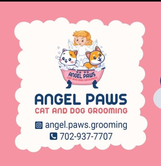 Angel paws cat and Dog grooming Las Vegas, NV Nextdoor