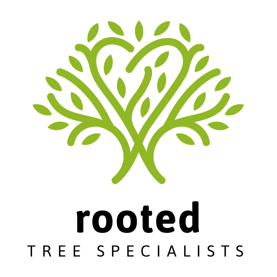 Ps Tree Specialists Reviews