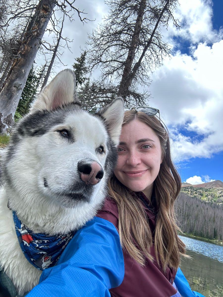 All 4 Paws Fort Collins, CO Nextdoor