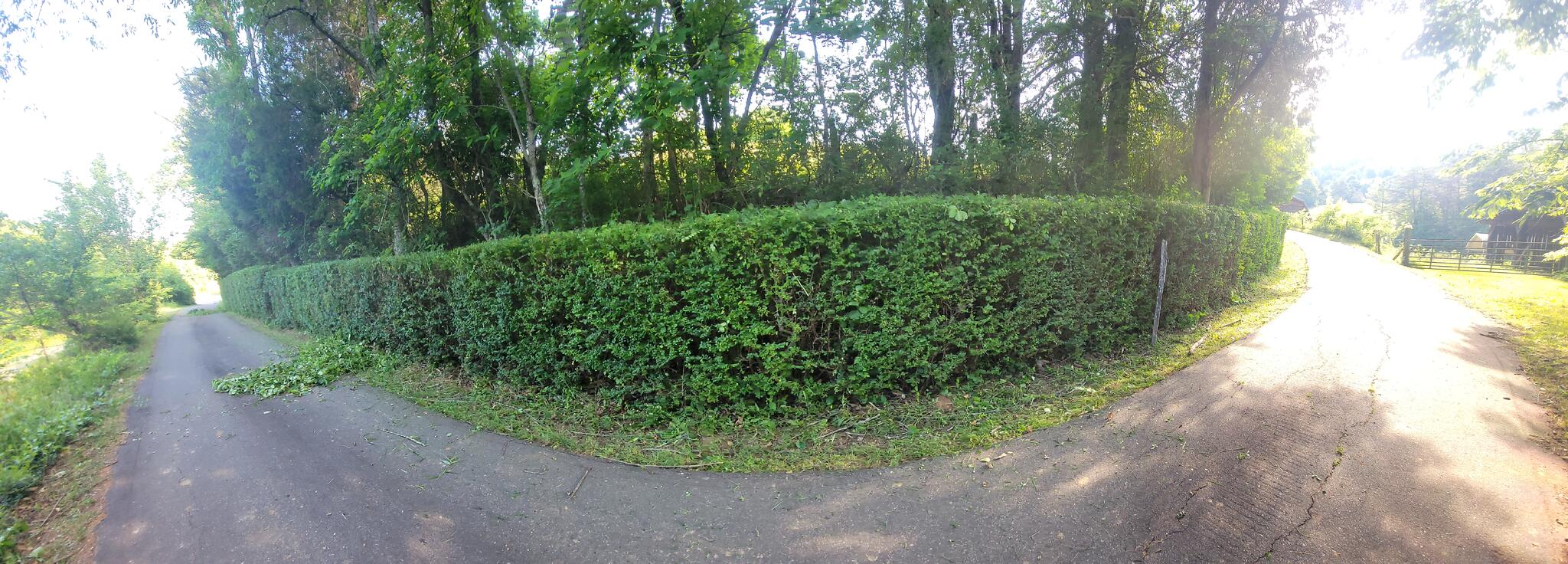 pro lawn care and landscape Hendersonville, NC Nextdoor