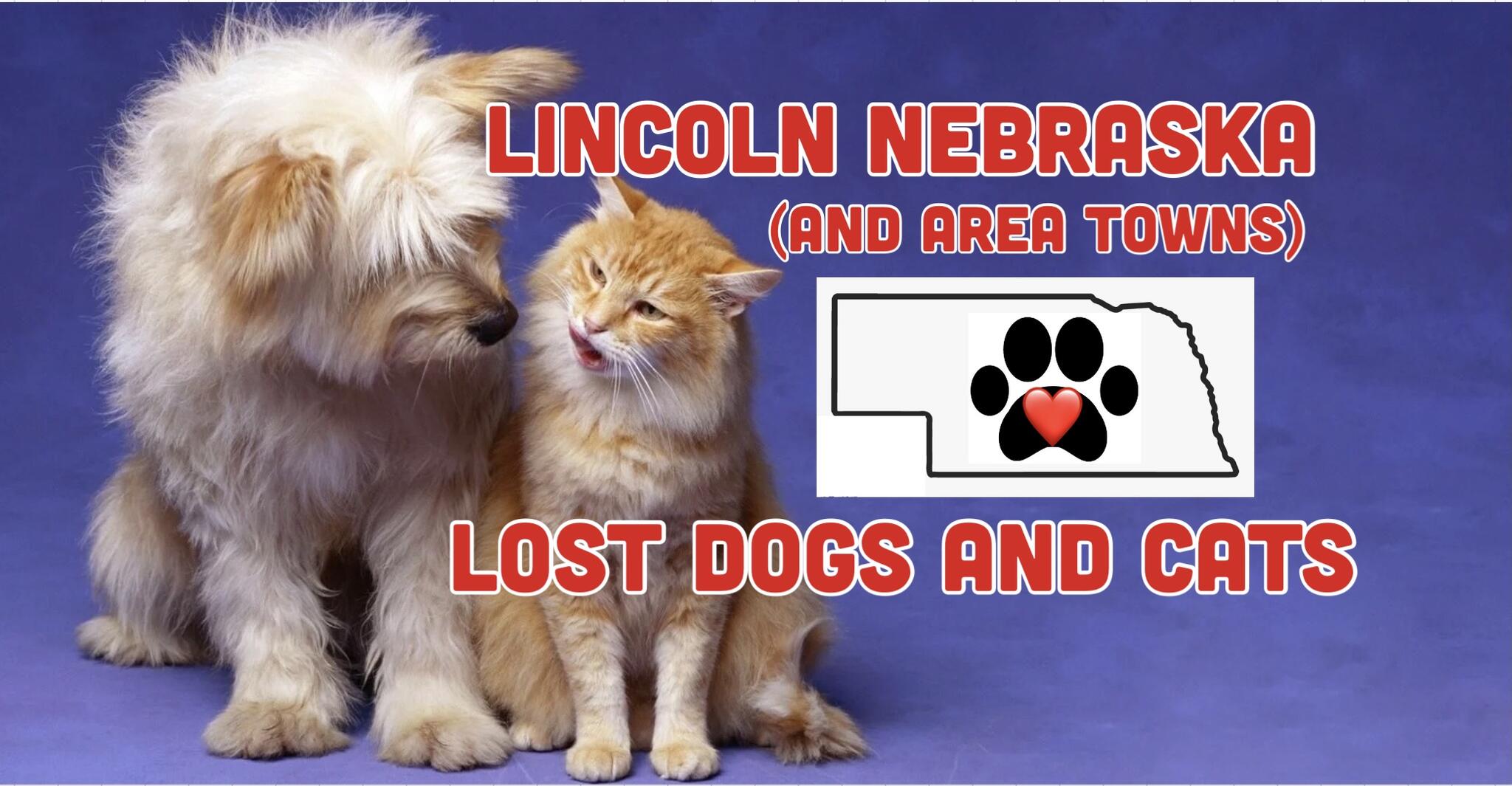 LINCOLN NEBRASKA LOST DOGS AND CATS Nextdoor