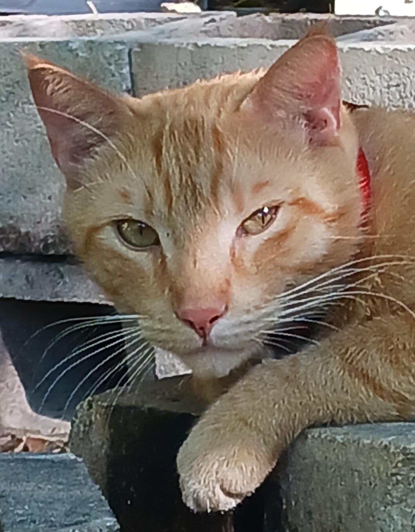 Pioneer AirConditioning and Appliance Repair The Villages, FL Nextdoor