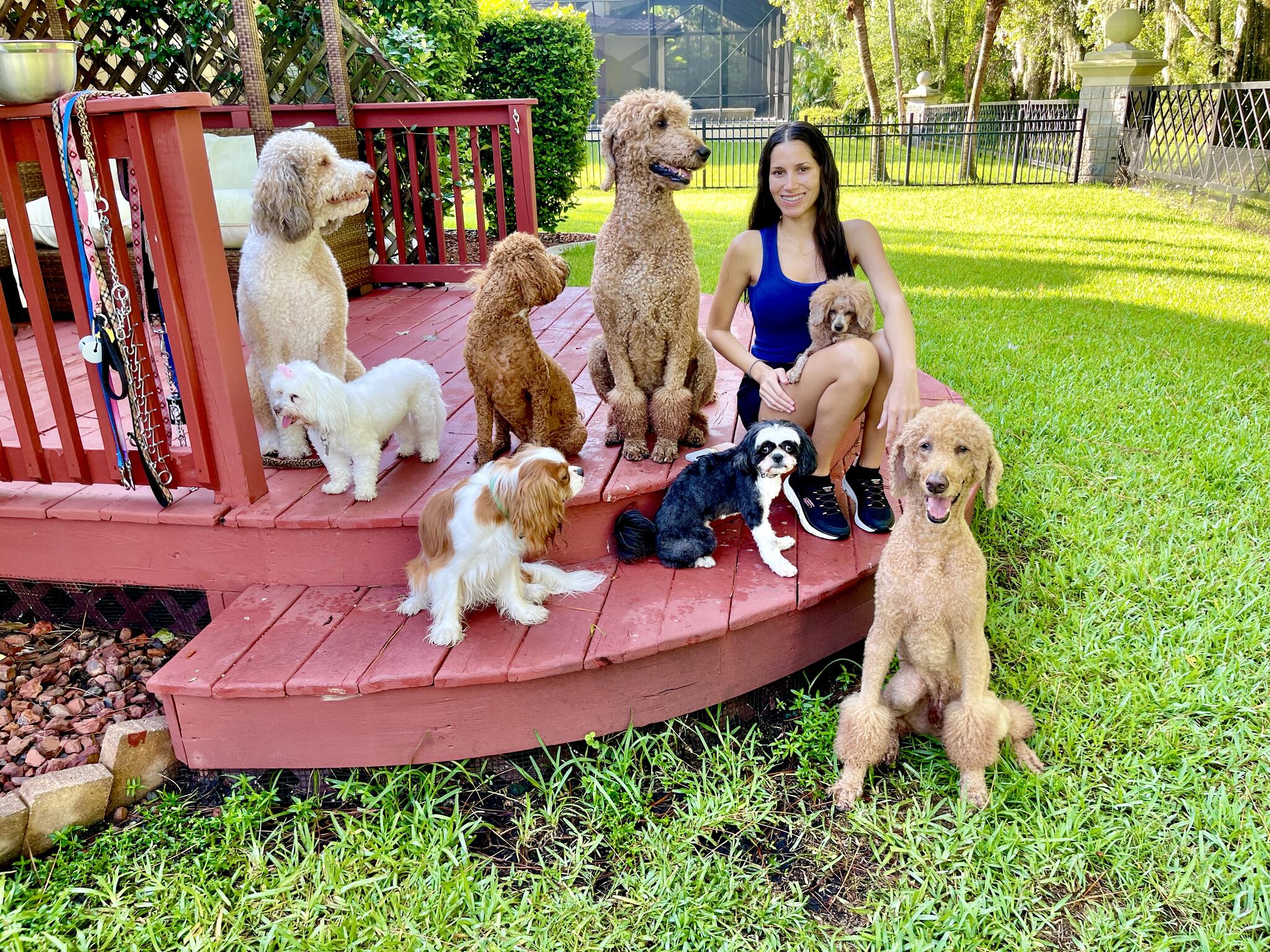 Lansbrook Dog Boarding; 7277762275 (cell) Palm Harbor, FL Nextdoor