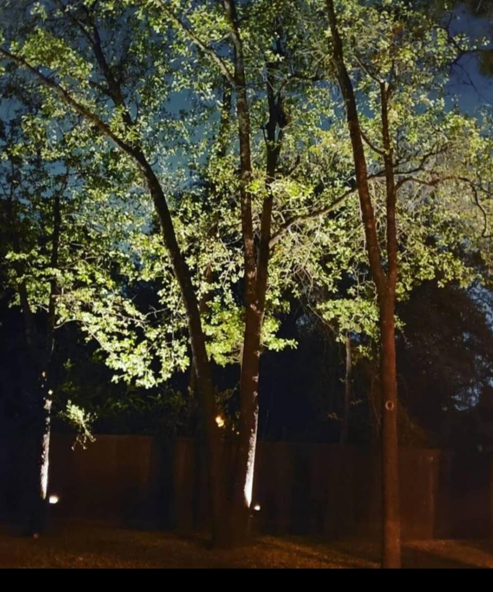 DC Landscape Design Addison, Texas Nextdoor