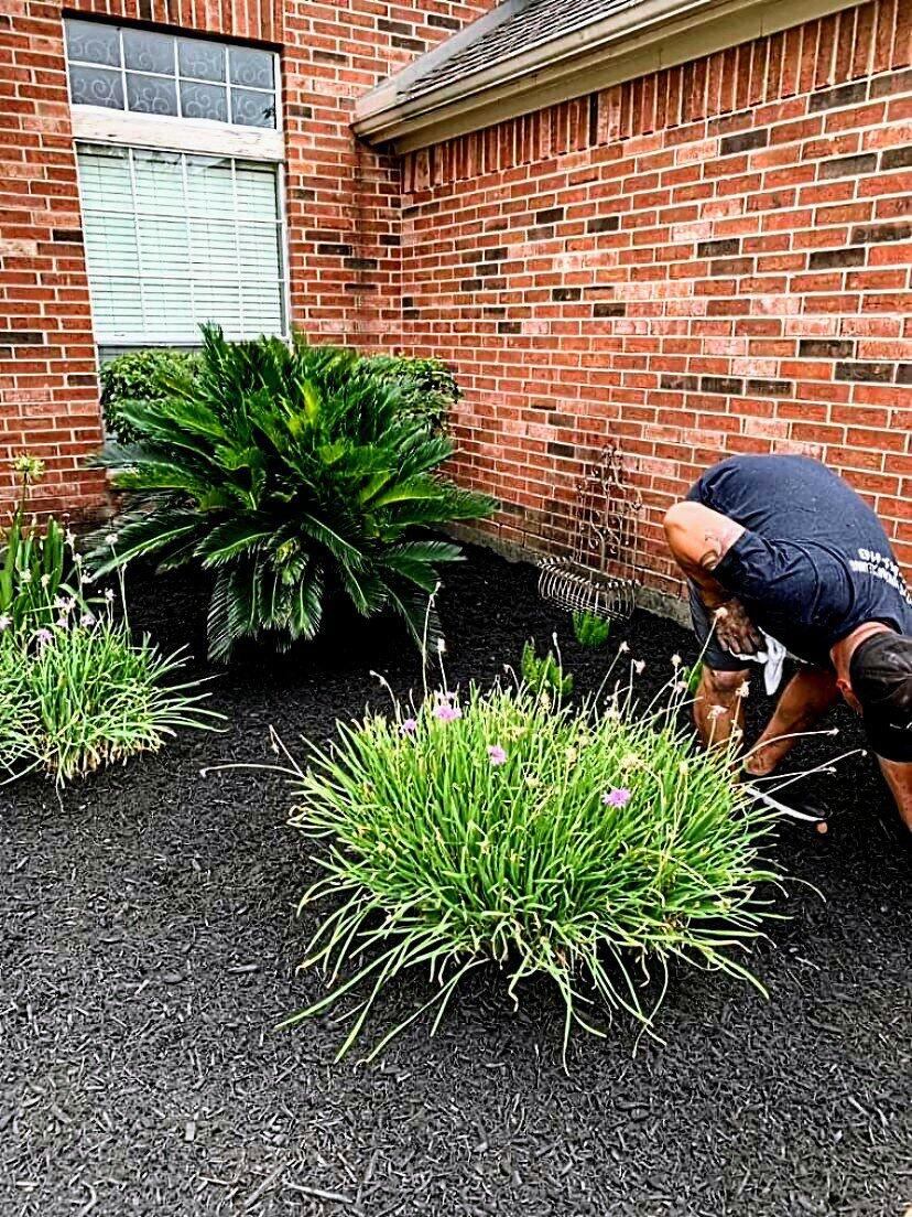Cypress Landscaping and Mulching Cypress, TX Nextdoor