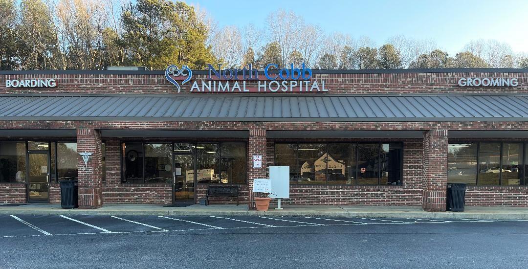 Madison Woods, Marietta Everything You Need to Know