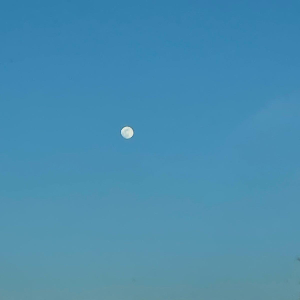 Trustworthy Services LLC Nextdoor