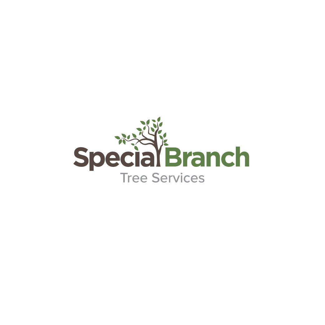 Special Branch Tree Services Durham, England Nextdoor