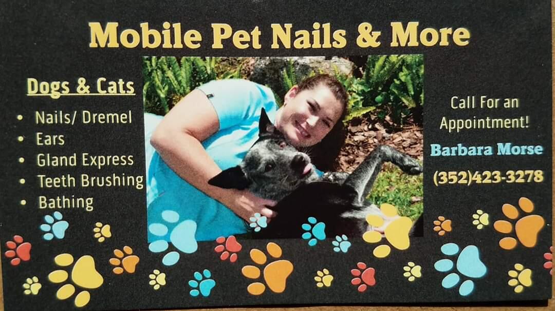 Barbara Mobile Grooming Inverness, FL Nextdoor