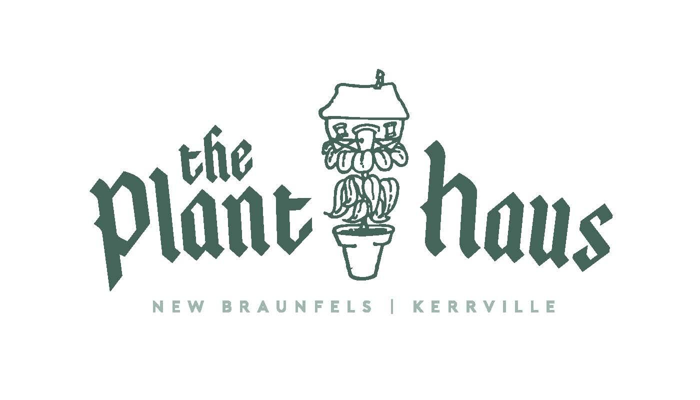 Plant haus new braunfels